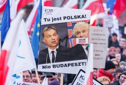 Niemiecki politolog: Polska PiS - państwo Frankensteina