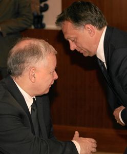 Orban połączy siły z PiS? "Były rozmowy na poziomie prezesów"