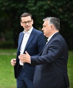 Niemcy zdziwieni decyzją rządów Grupy Wyszehradzkiej. "Niezwykły akt"