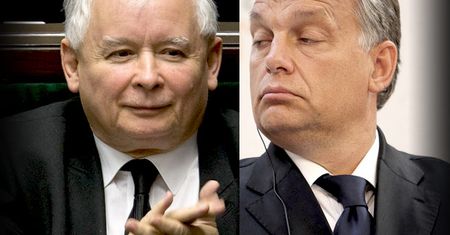Dariusz Bruncz: Szwajcarski dziennik - Polacy i Węgrzy to obdartusy Europy