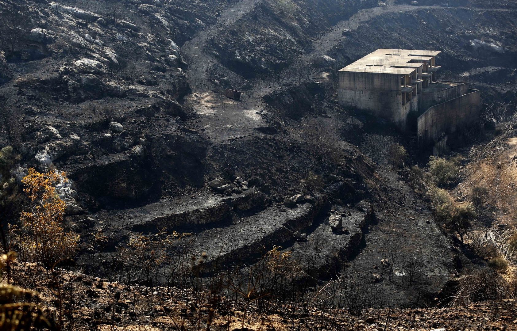 Liban walczy z ogromnymi pożarami. Władze apelują o pomoc