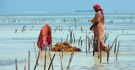 Zmysłowy Zanzibar. Gdzie afrykańska żywiołowość i muzułmańska pokora idą w parze