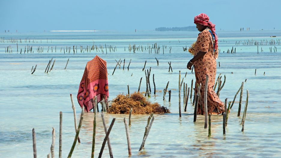 Zanzibar to znacznie więcej niż tylko wakacje pod palmami