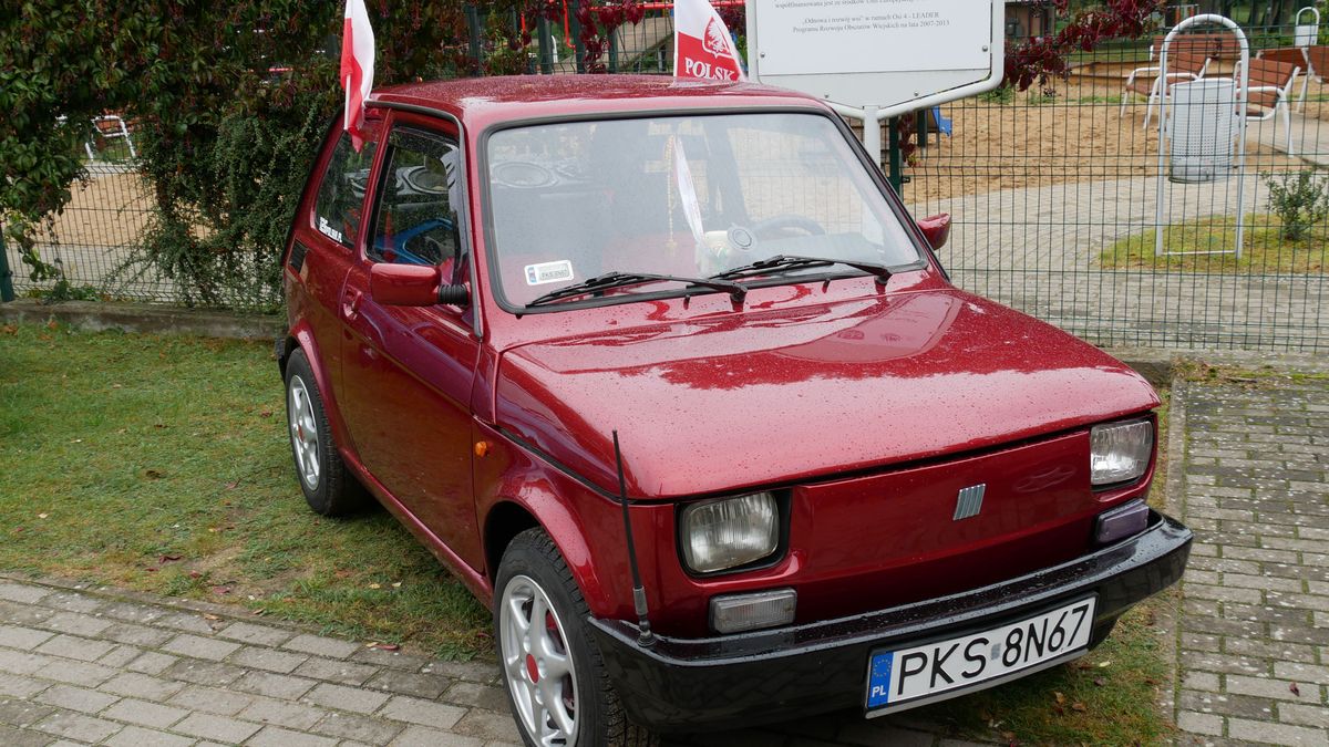 zdjęcie