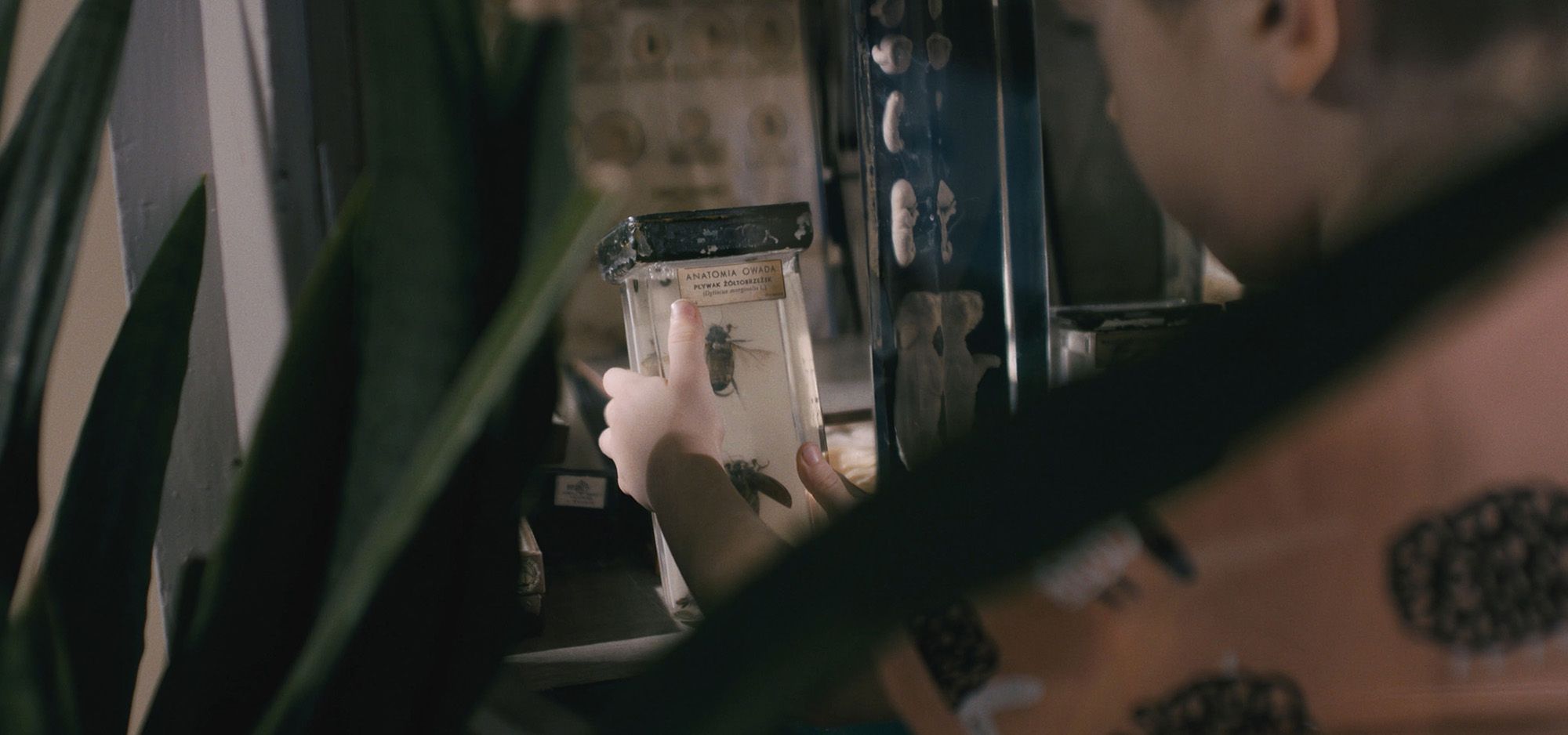 Film z Gdańska autorstwa Adriana Chudka, wygrał festiwal w USA 13