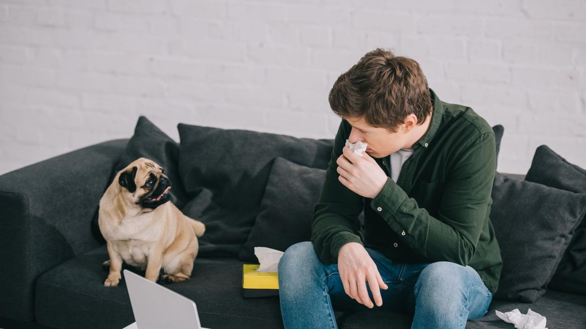 Alergia na psa – objawy