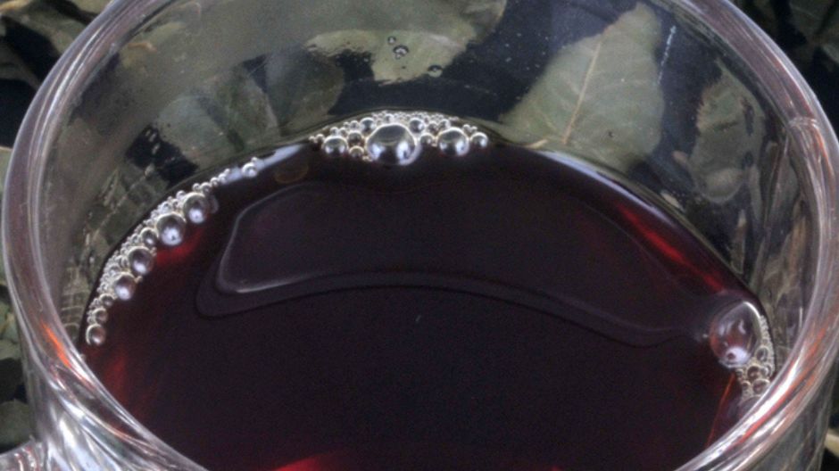 Picie pokrzywy - wiele korzyści zdrowotnych w jednym naparze