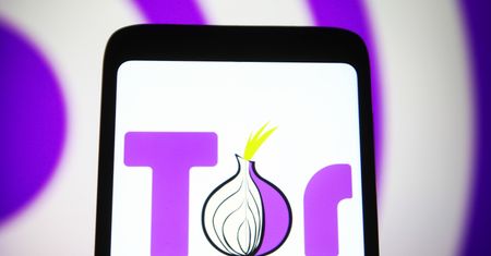 Twitter działa w sieci Tor - wrotach do "podziemia" internetu
