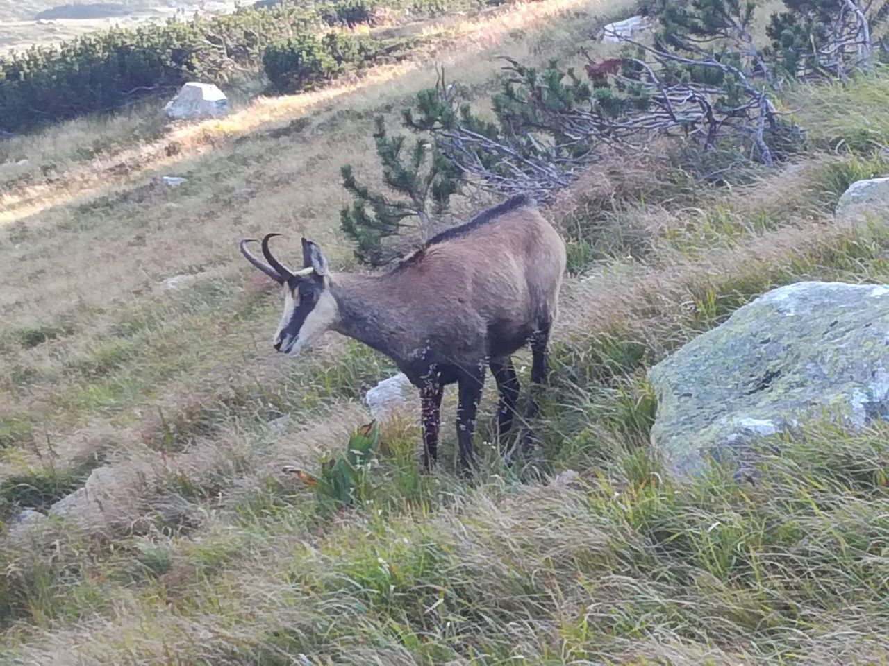 Niepokojące dane z Tatr. Najniższy wynik od dekady