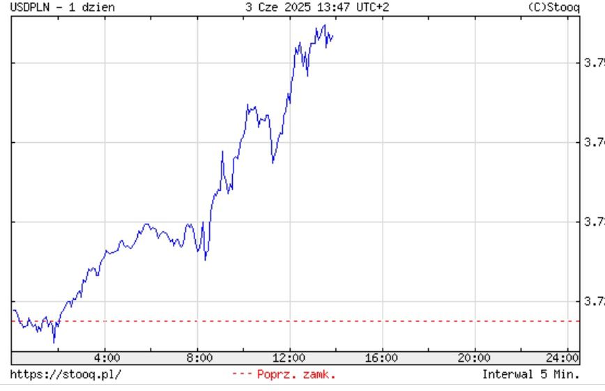 Kurs dolara (wtorek 3.06.2025 r.)