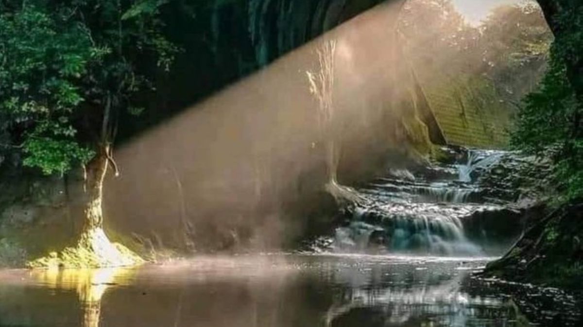 Zdjęcie snopa światła przywołuje na myśl męskie organy rozrodcze 