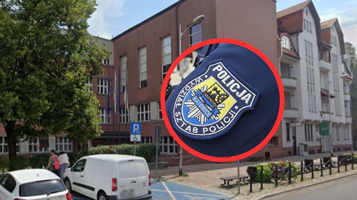 Katowice. Przyszedł z nożami pod uczelnię. Nowe fakty o 22-latku