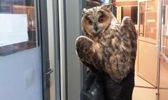 Warszawa. Zderzyła się z biurowcem. "Pracownicy usłyszeli głośne uderzenie w szybę"