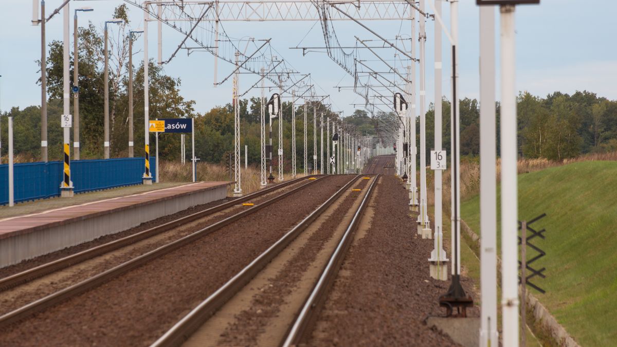Boguslaw Smardzewski
tory kolejowe, szlak kolejowy, transport, podróż, trakcja elektryczna, szyna, nasyp