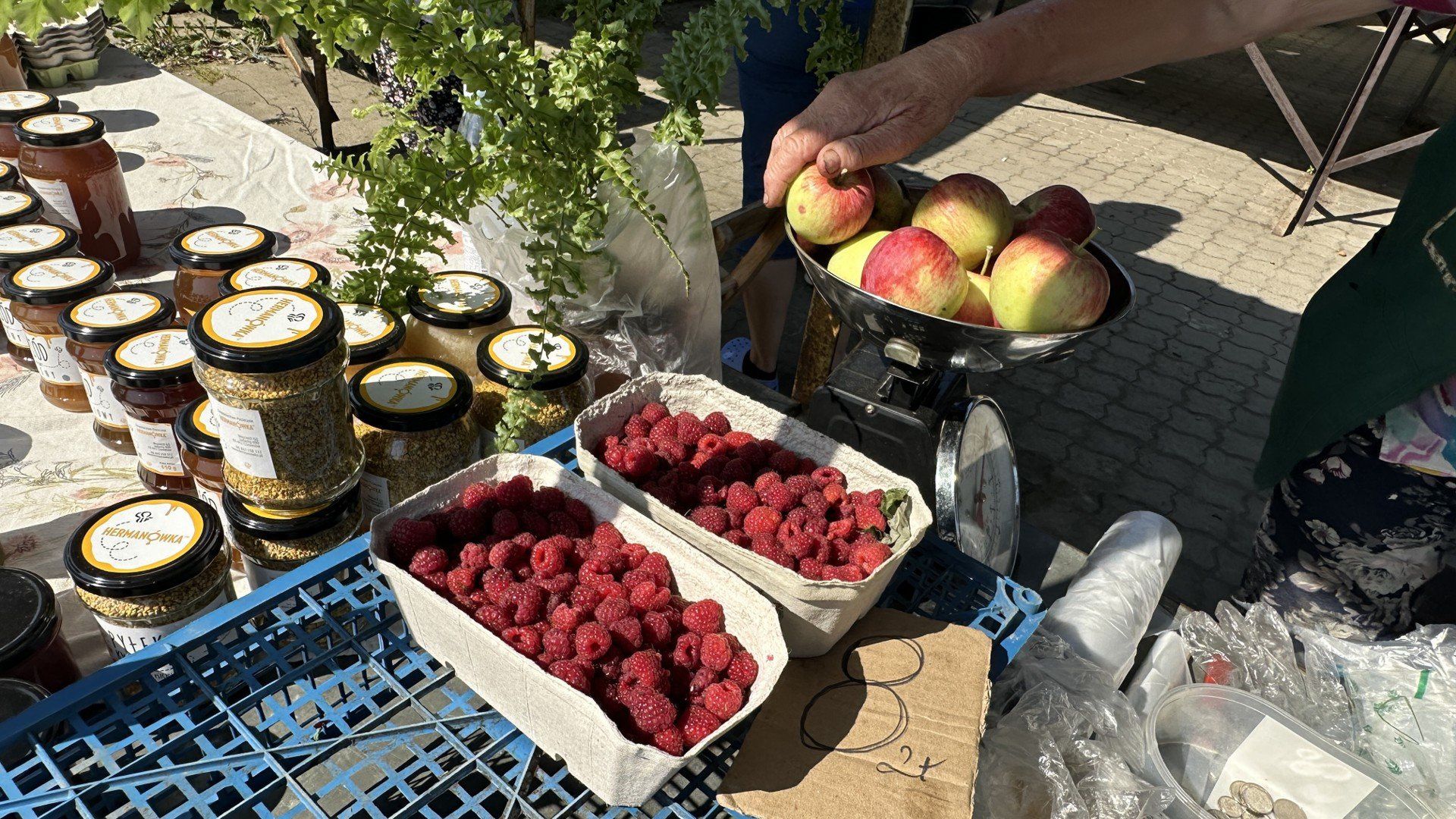 Targowa środa w Tarnobrzegu, 12 sierpnia