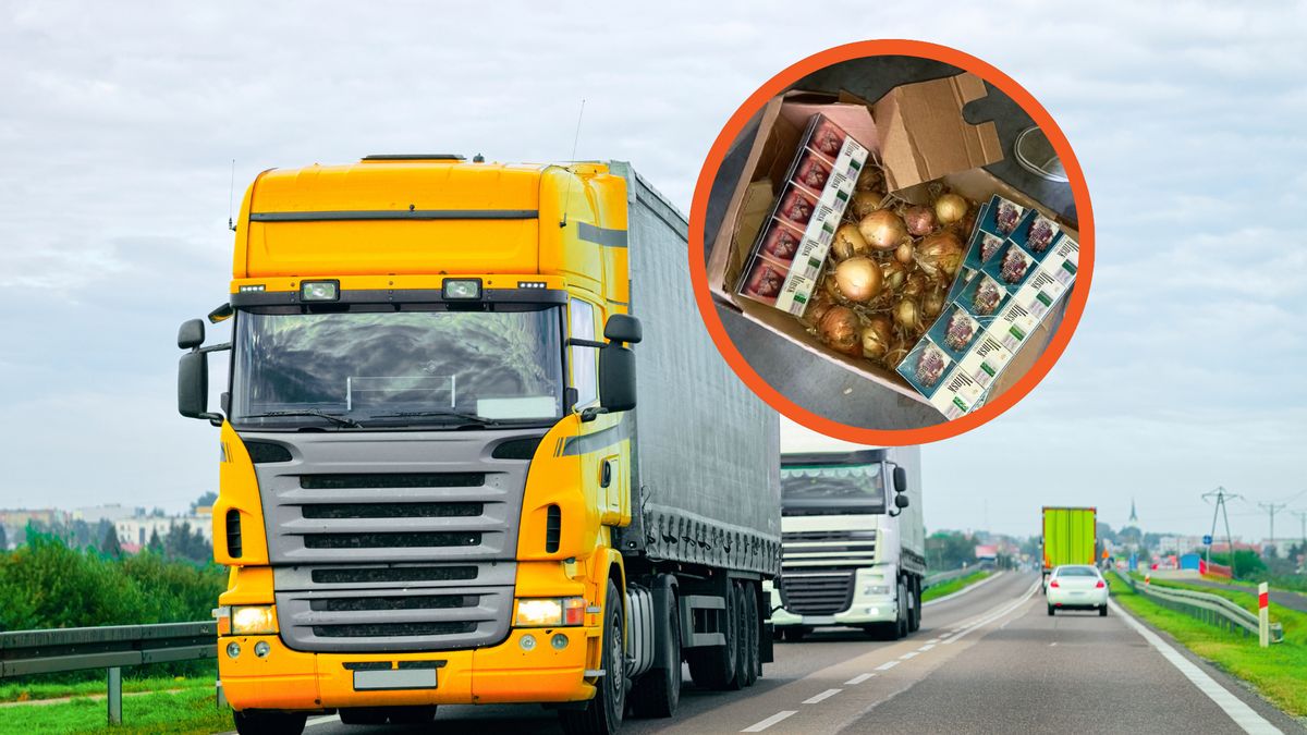 Tony cebuli z Rosji jechały do Polski