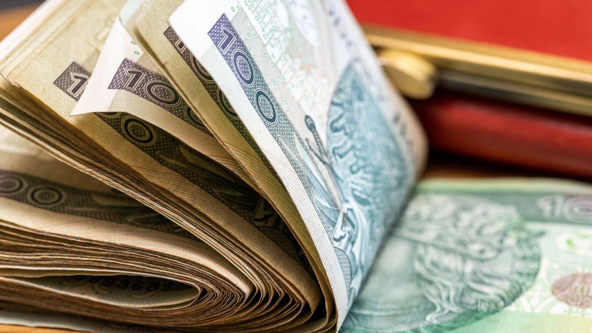 thick bundle of folded 100 zloty banknotes from Poland, table, wallet, close-up
thick bundle of folded 100 zloty banknotes from Poland, table, wallet, close-up
Andrzej Rostek
hundred, pln