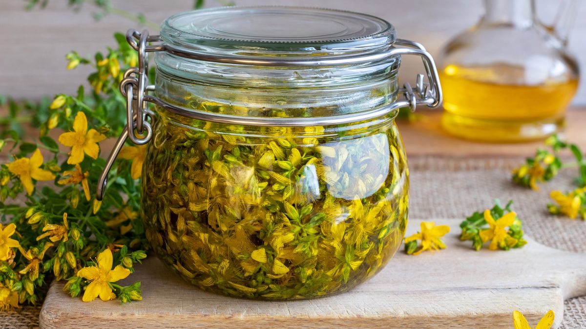 Napary z dziurawca warto pić regularnie