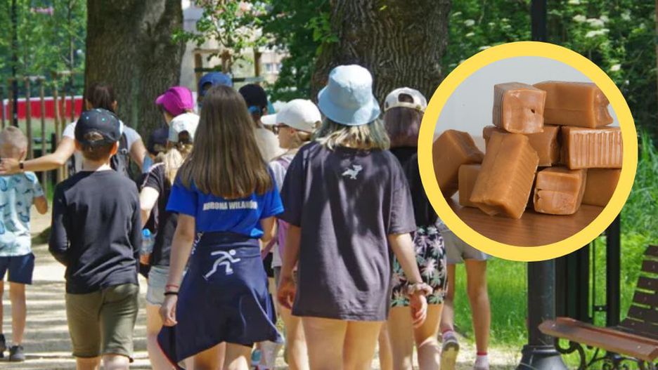 "Zakazane krówki" trafiły w ręce dzieci. Seria fatalnych pomyłek podczas półkolonii