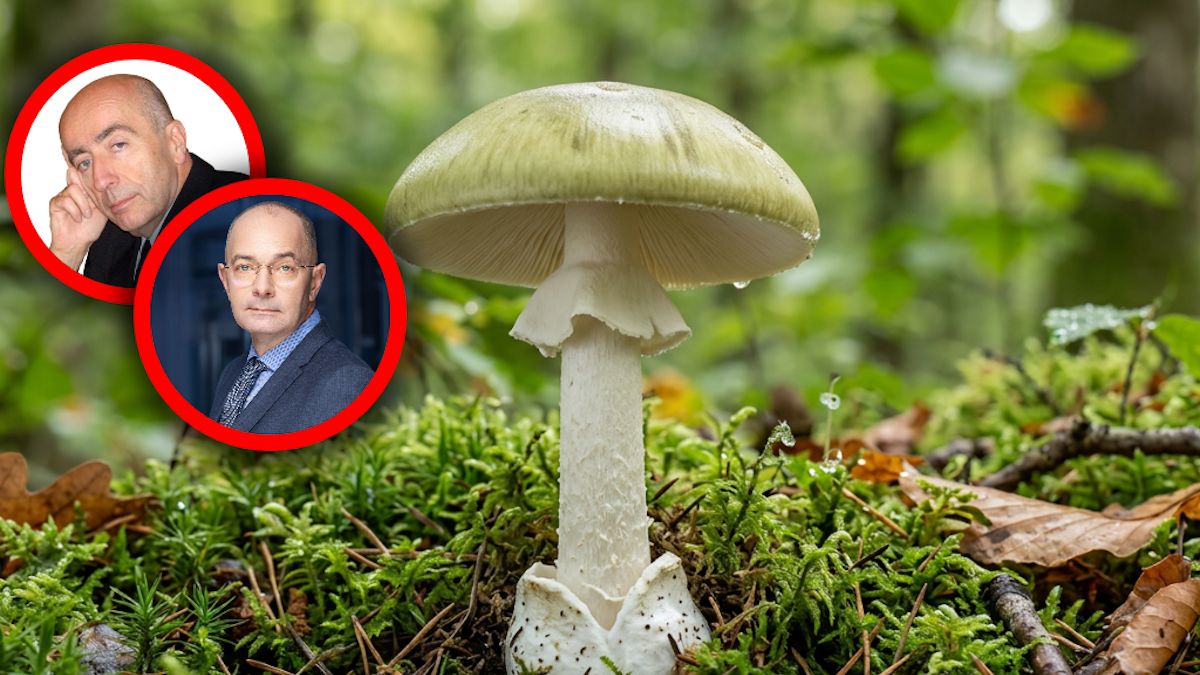 Lekarze ostrzegają przed jedzeniem niesprawdzonych grzybów