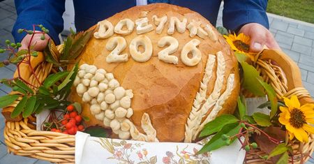 Kawałek ciasta za 5 zł, mandat za 1500 zł. Skarbówka ruszyła na dożynki