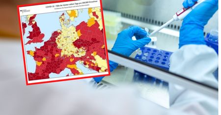 Koronawirus. Niemcy chwalą się mapą. Dopisują "dziękujemy, Angela"