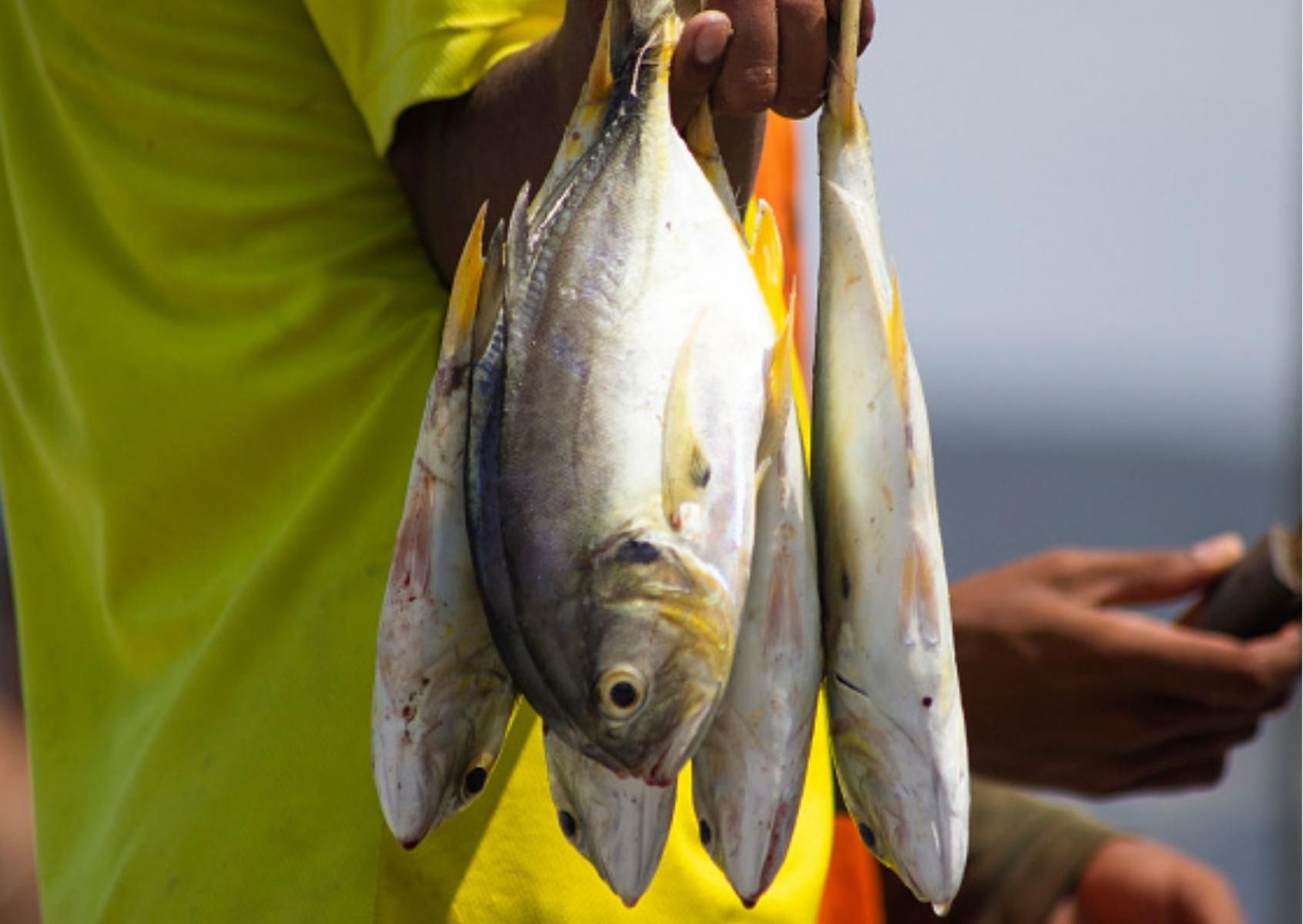 W tych rybach jest najwięcej trującej rtęci. Lepiej ich unikać