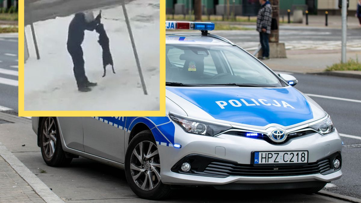Mężczyzna znęcał się nad psem w czasie spaceru