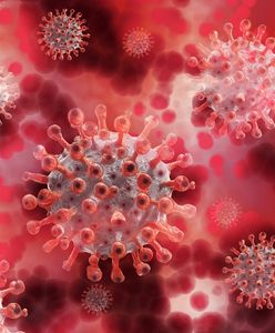 Katowice. 500 ochotników weźmie udział w badaniu – część dostanie lek, część placebo