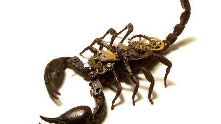 Steampunkowe owady 1