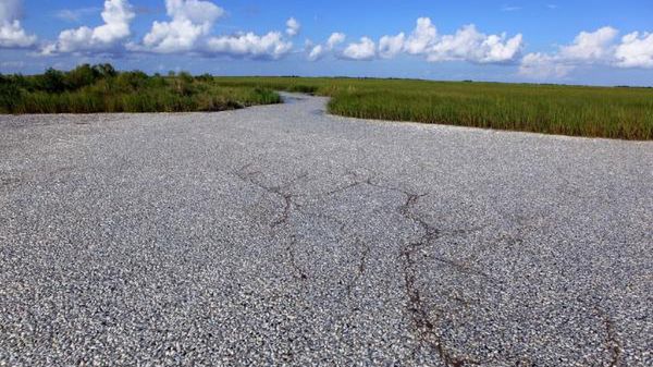 A co to za dziwna droga? 1