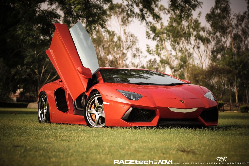 Lamborghini Aventador, felgi ADV.1 i słoń - niecodzienna sesja zdjęciowa [galeria] 2