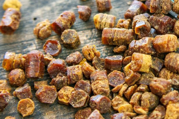 To niedoceniony produkt pszczeli. Ma więcej zalet niż sam miód