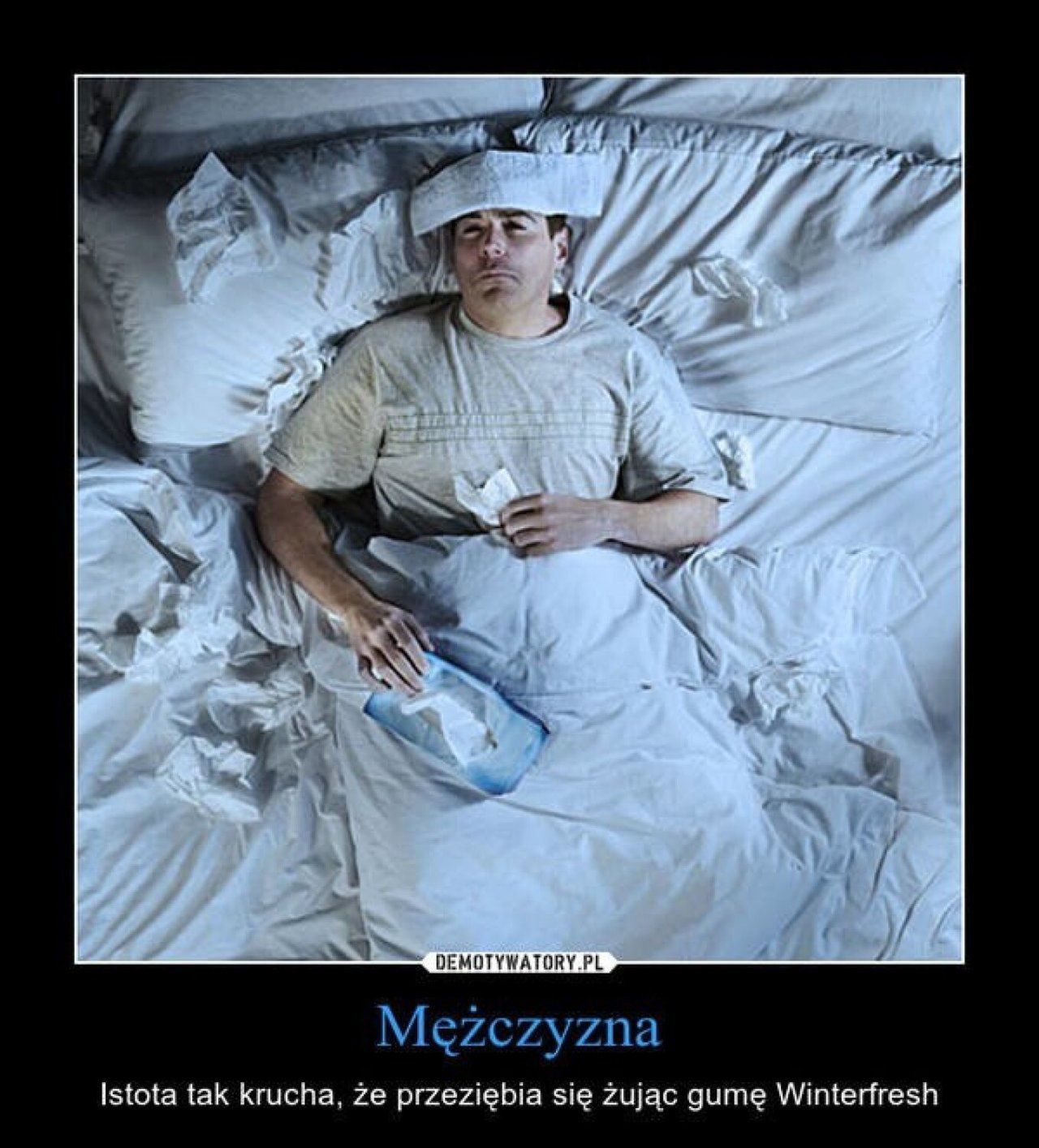 Dzień Mężczyzn 2026, memy