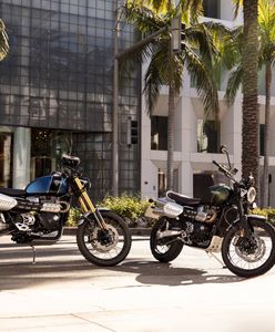 Triumph Scrambler 1200 – cena, informacje, dane techniczne