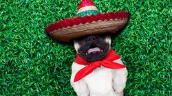 6 powodów, aby zrobić sobie popołudniową sjestę