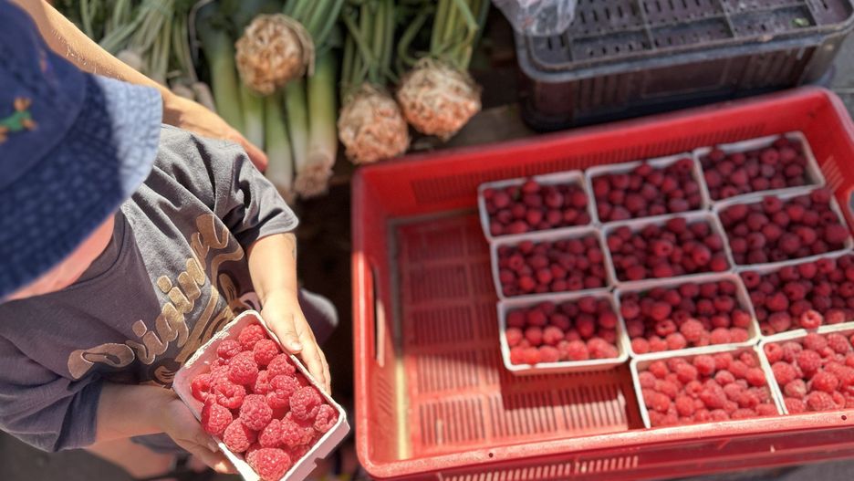 Maliny na tarnobrzeskim targu, 2 lipca 2025