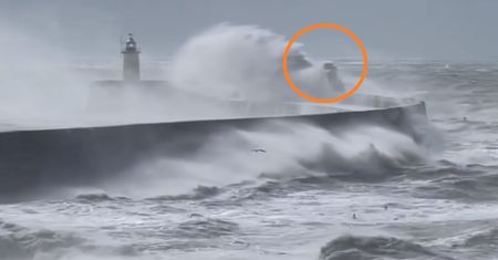 Reporter BBC zrobił fenomenalne zdjęcie. Fotografia obiegła świat