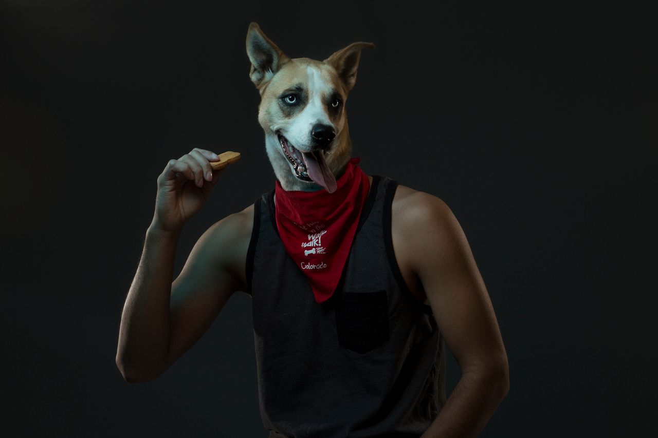 Isaac Alvarez tworzy zabawne portrety, łącząc psie głowy i ludzkie ciała