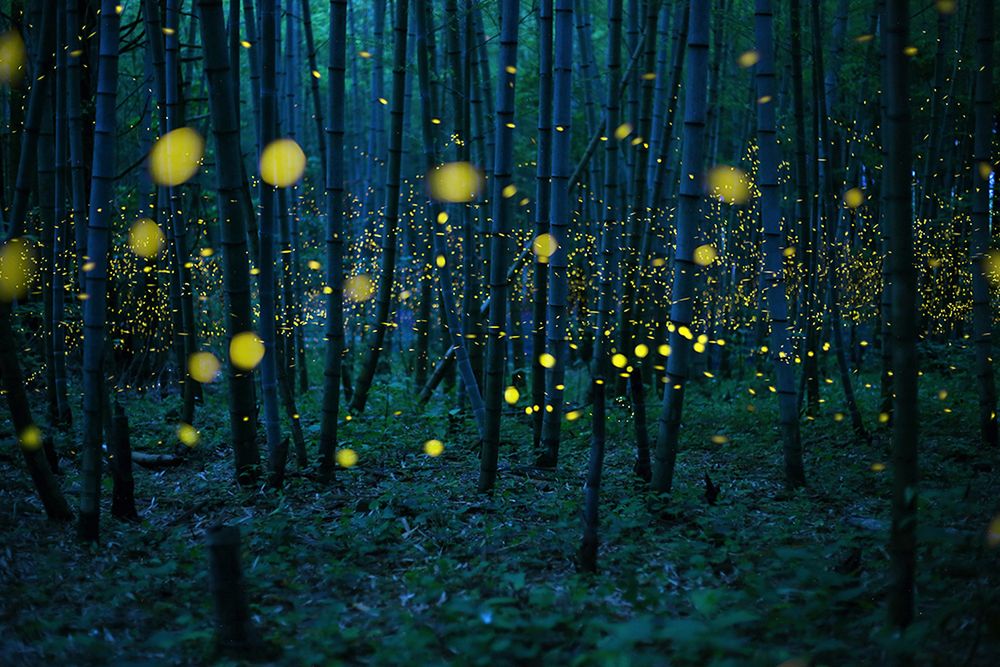 Znamy zdobywcę Poland National Award w ramach Sony World Photography Awards 2016 38