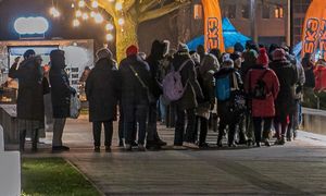 Rozdawali darmowego karpia. Ogromna kolejka. Będą kolejne akcje