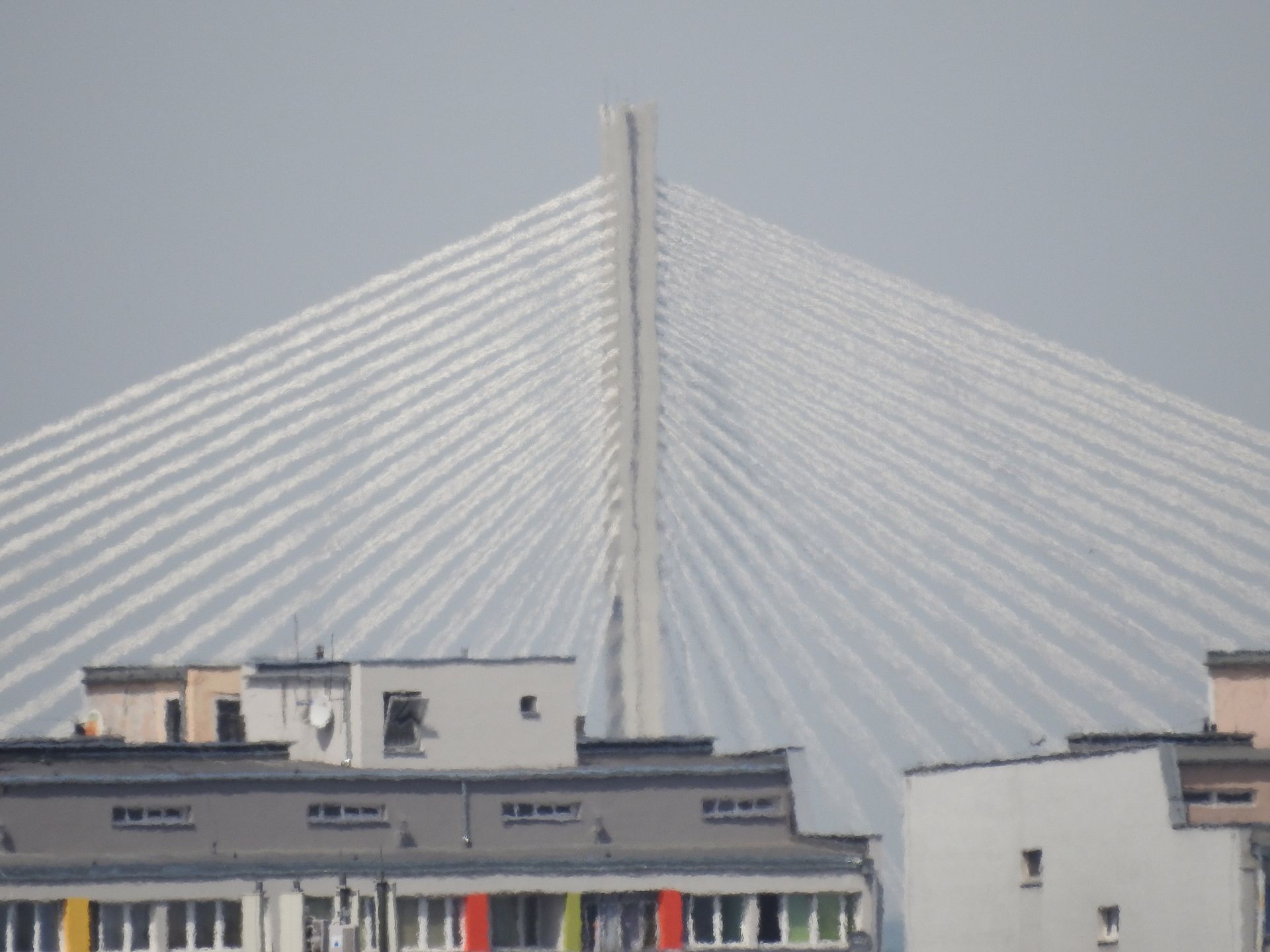 Nikon Coolpix P900 - podręczny superzoom z ogniskową 2000 mm [test] 48