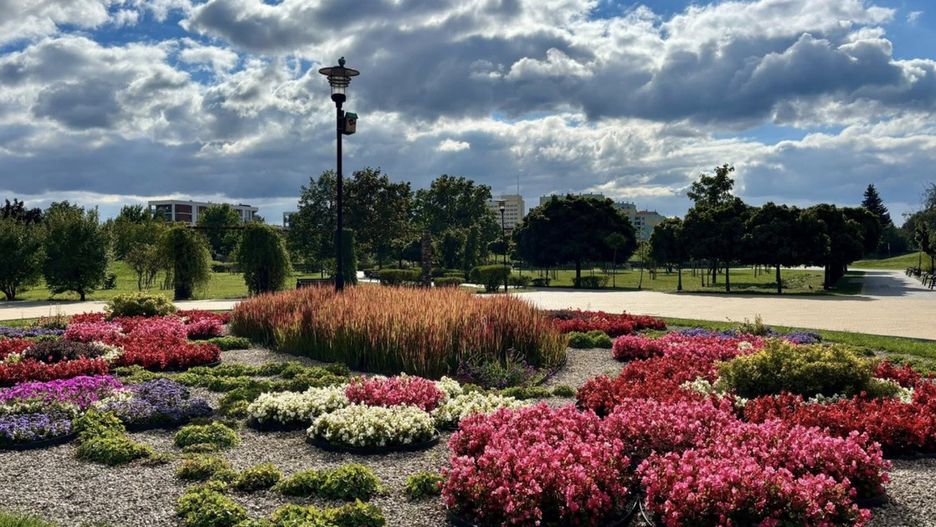 Park Łokietka. Fot. Lidia Gralikowska. 