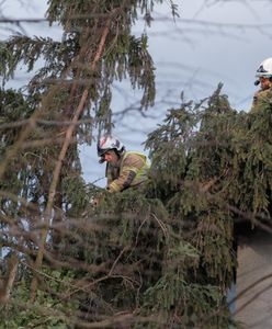 Niezapomniana Eunice. Krajobraz po orkanie
