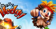 Crazy Hedgy – europejski następca Sonica?