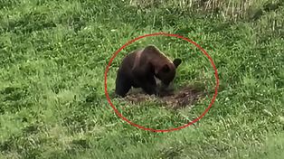 Tego znaleziska się nie spodziewał. "Żeby potem nie płakał". Nagranie hitem