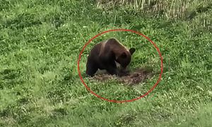 Tego znaleziska się nie spodziewał. "Żeby potem nie płakał". Nagranie hitem