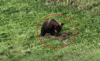 Tego znaleziska się nie spodziewał. "Żeby potem nie płakał". Nagranie hitem