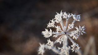Podlasie: Za nami najzimniejsza noc tej zimy. Temperatura spadła prawie do -30 stopni. Co ze szkołami?