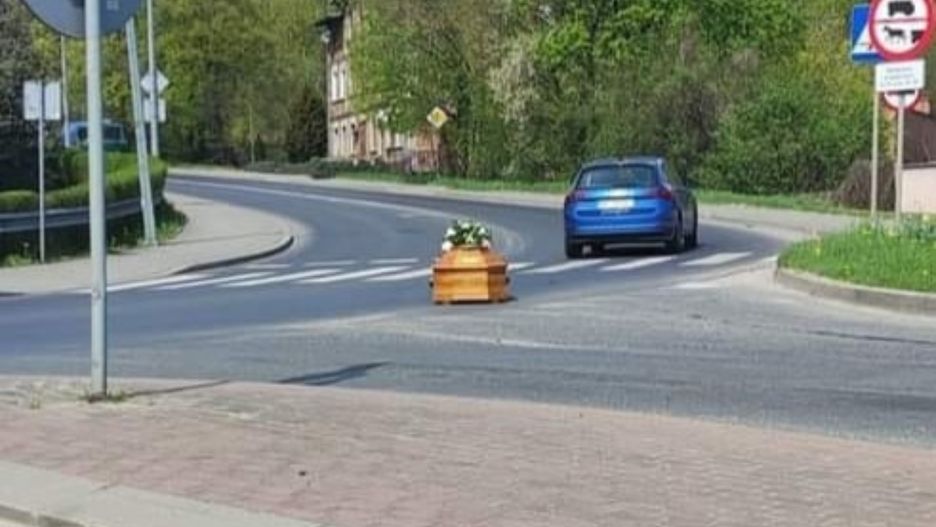 Źródło zdjęcia: Toruń. Okolice w pigułce